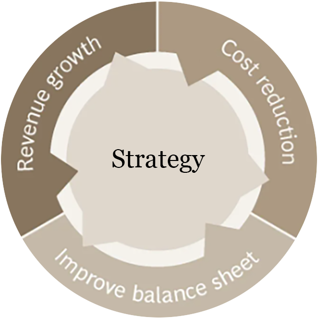The What: strategy, revenue growth, cost reduction, improve balance sheet